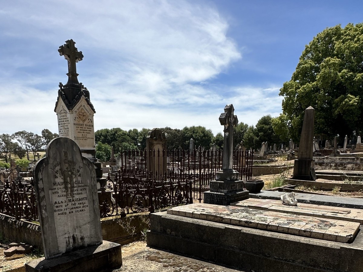 Unravelling truth from&nbsp;lies